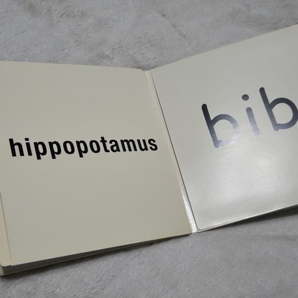 Your Baby Can Read Early Language Development word card set + book 1 - Picture 14 of 15